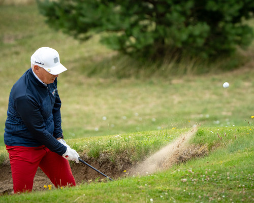 Zdjęcie 85
